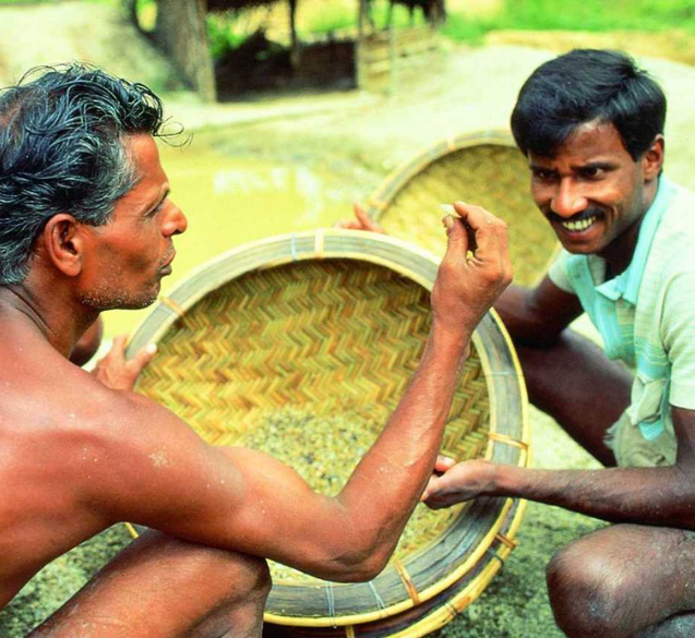 Blue Bella Of Asia | Ceylon