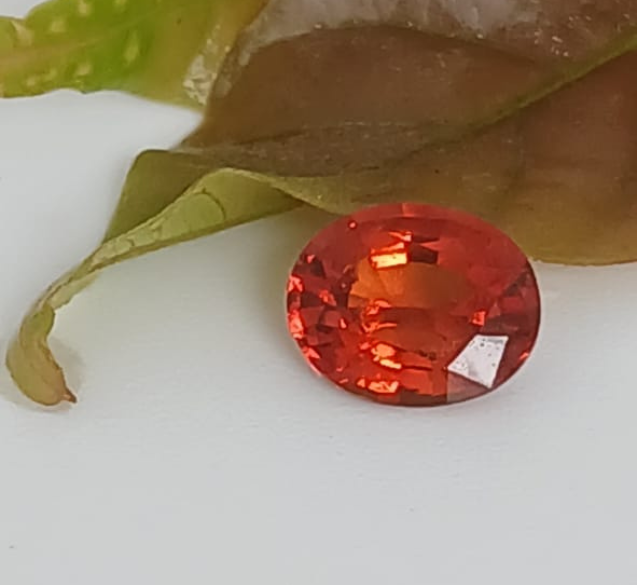 Gomeda & Rahu Planet Explained